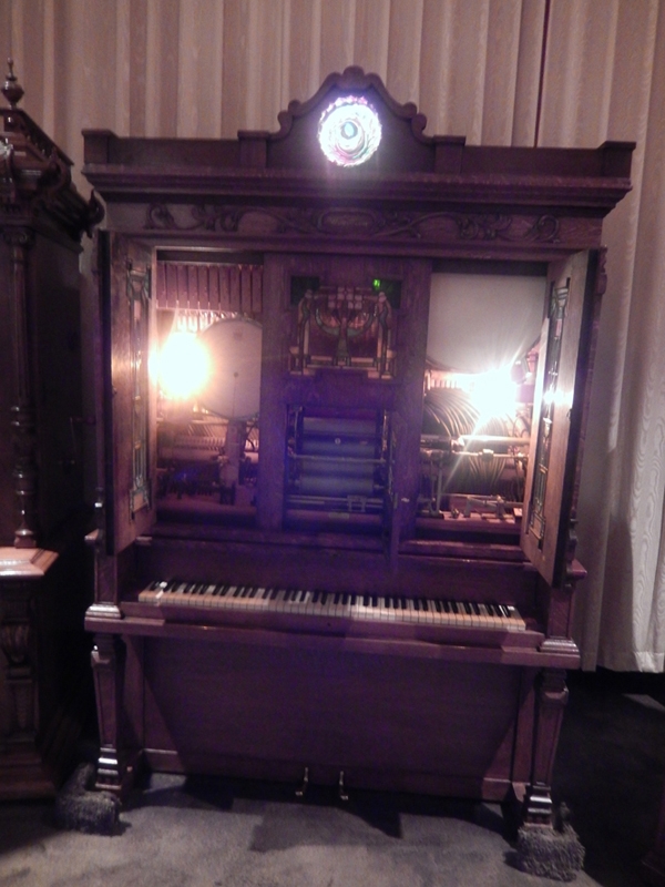DSCN0210.jpg