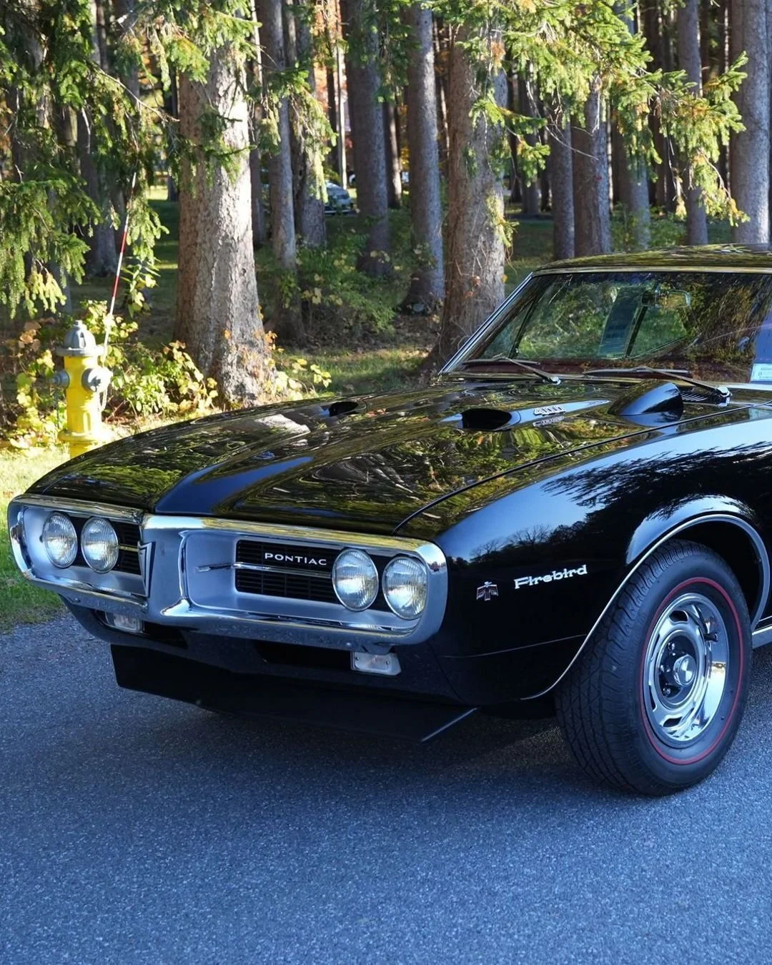 This 1967 Firebird is known today as an &quot;Early Bird&quot; - Made before lunch on the first day of production!  Come see it now!
