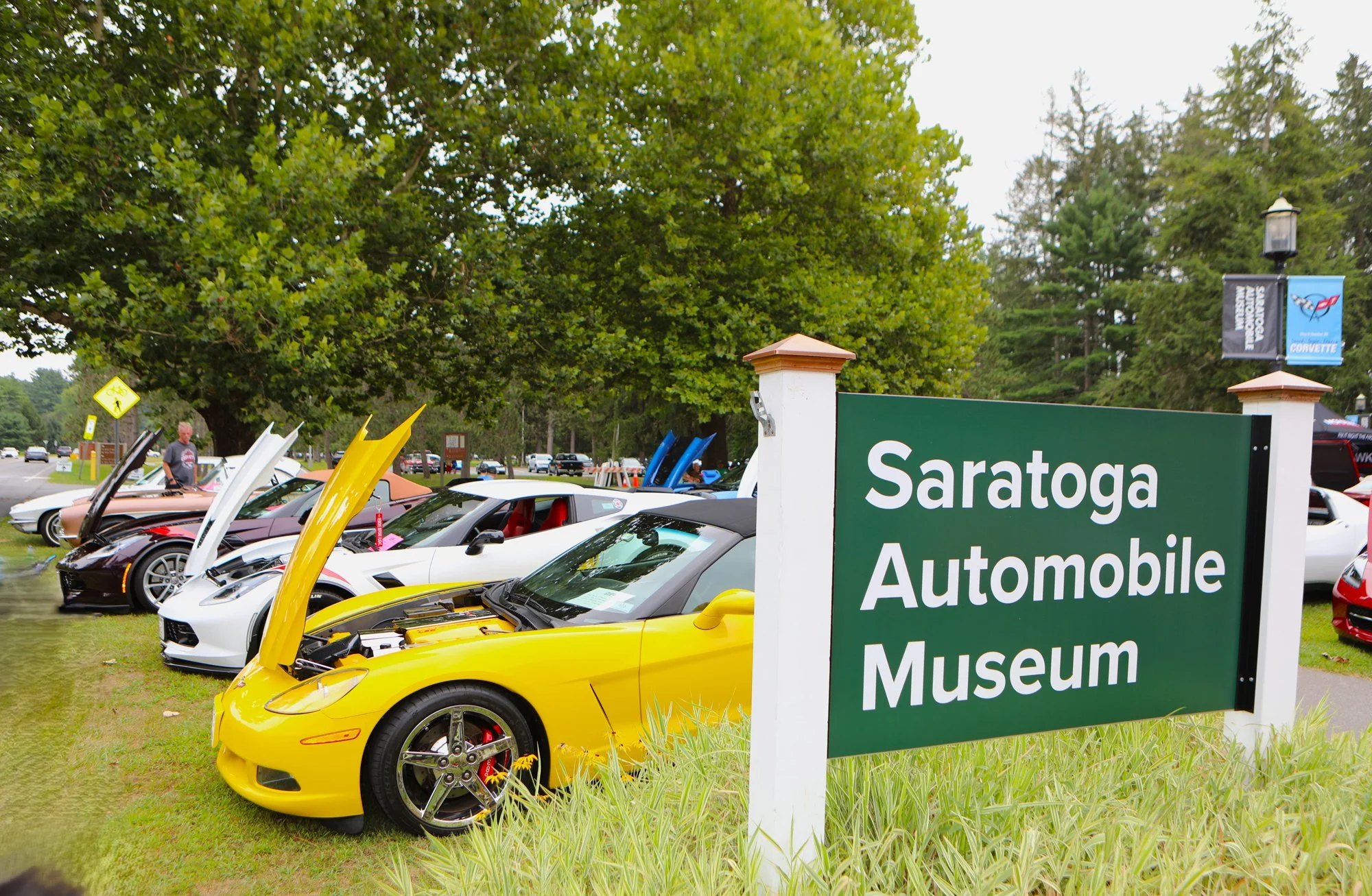 040A8859 - Copy (2).jpg