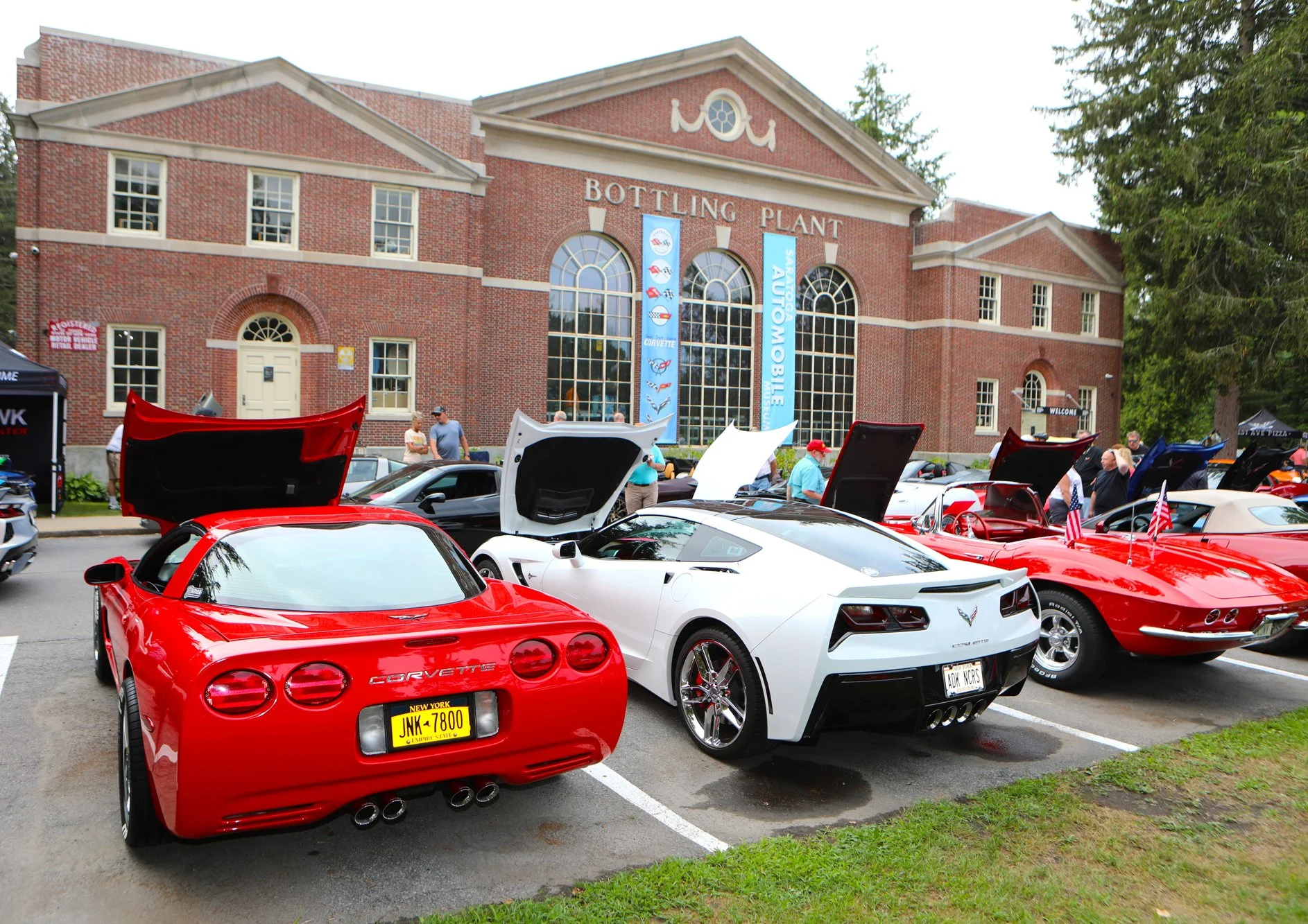 040A8869 - Copy (2).jpg