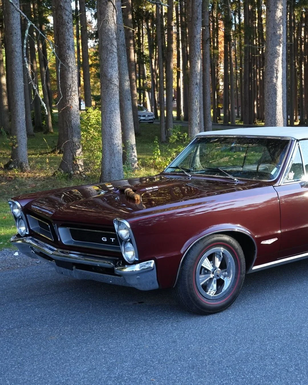 The legend continues. The 1965 Pontiac GTO built on the success of its groundbreaking debut, helping define what a true American muscle car could be.
Now on display at the Saratoga Automobile Museum in Pontiac: The Dawn of Muscle.