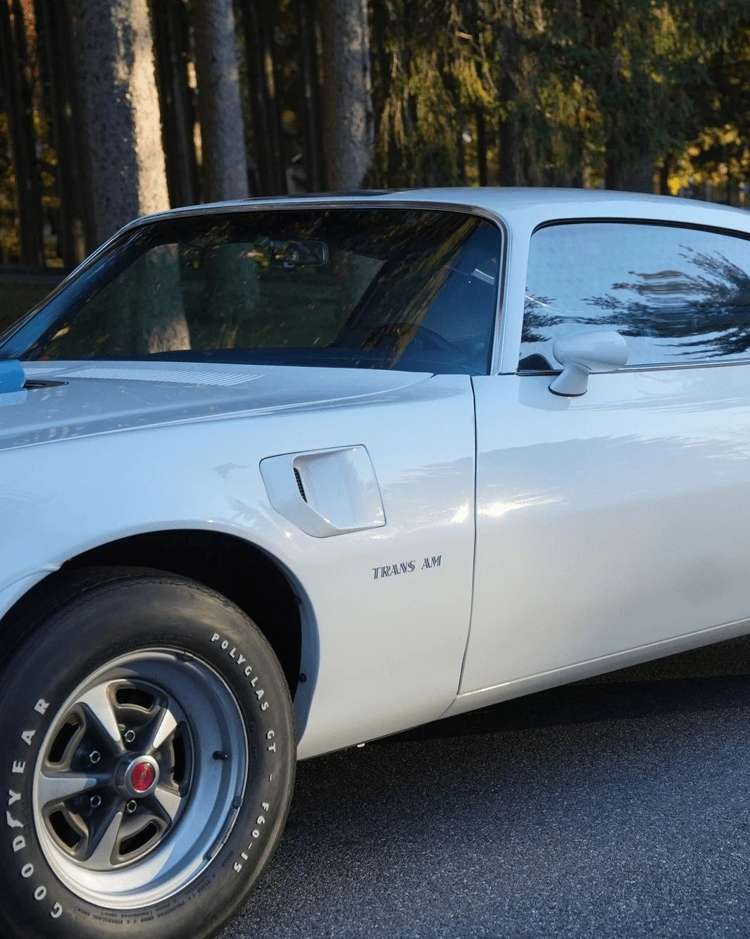 From its aggressive stance to its unmistakable presence, the Pontiac Firebird represents Pontiac at its most daring. A true icon, see them up close at the Museum.
