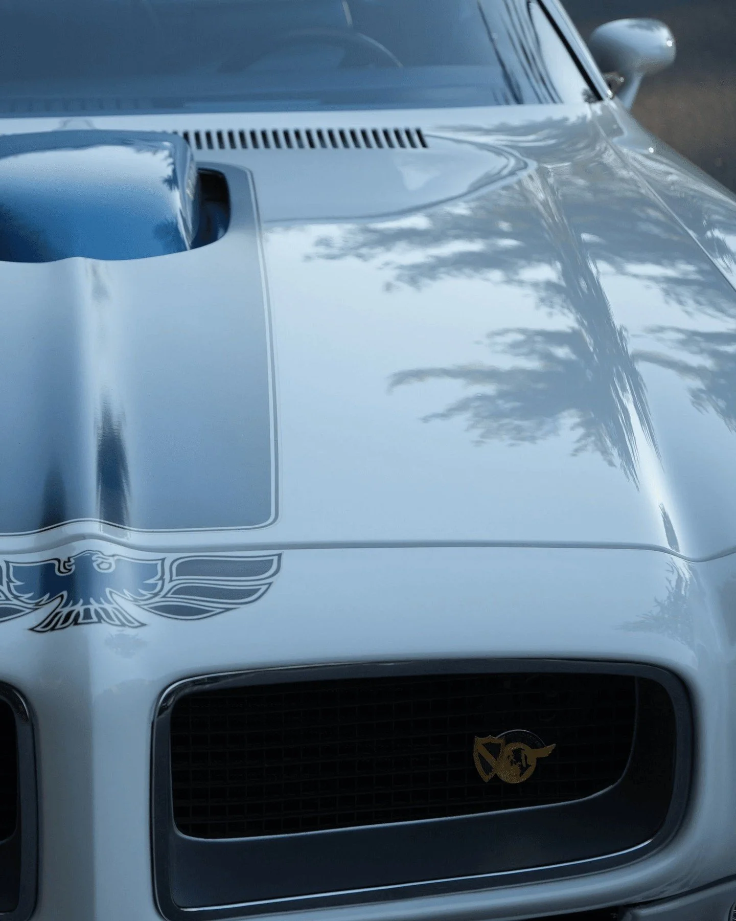 The Pontiac Firebird is a cornerstone of American muscle car history. See it up close as part of Pontiac: The Dawn of Muscle at the Saratoga Automobile Museum.