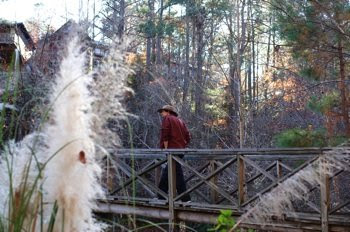 Aaron goes for a walk