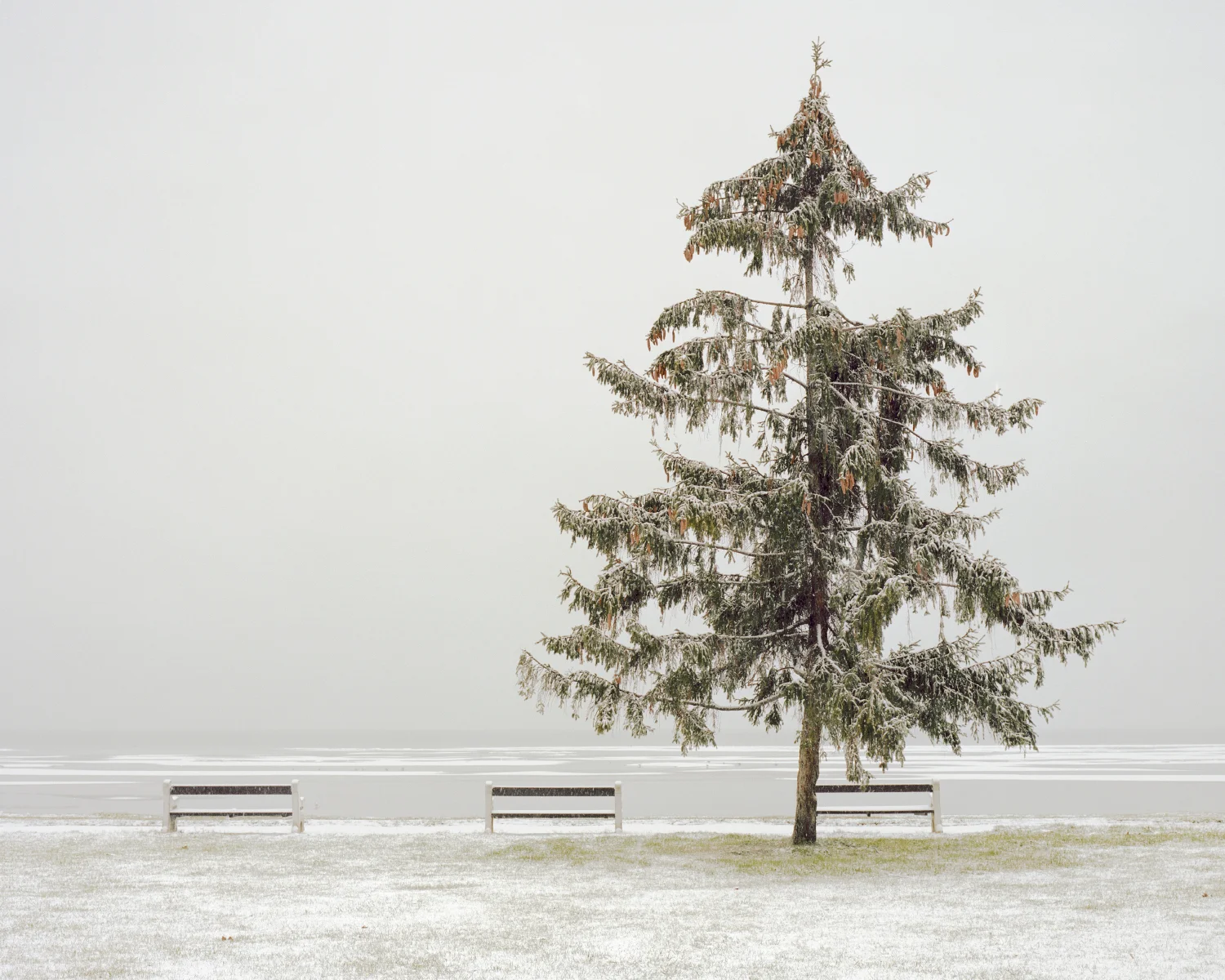  Balaton,&nbsp;Hungary, 2012 
