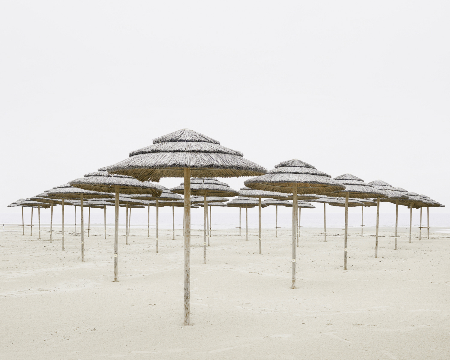  Bibone, Italy, 2013 