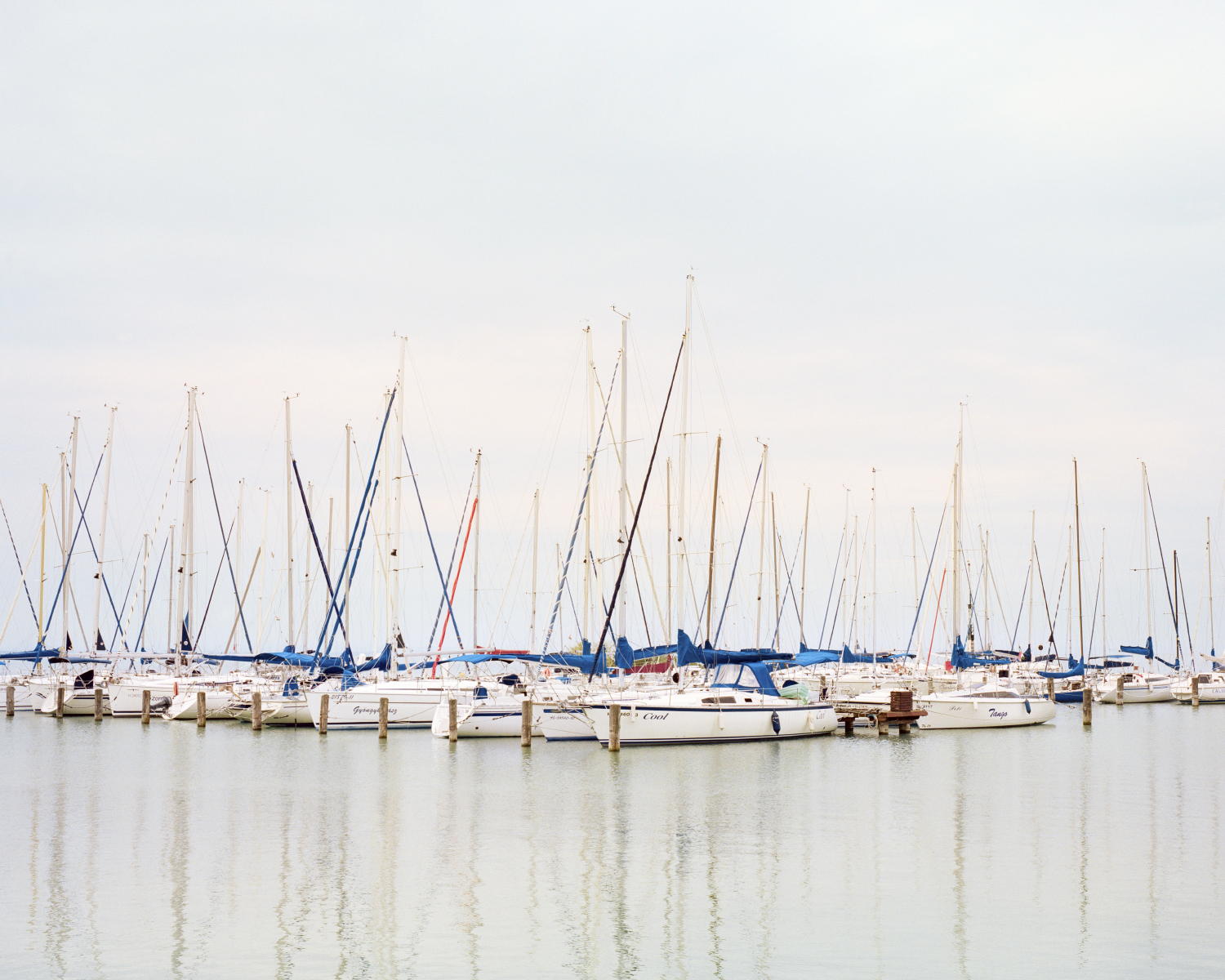  Balatonaliga, Hungary, 2012 