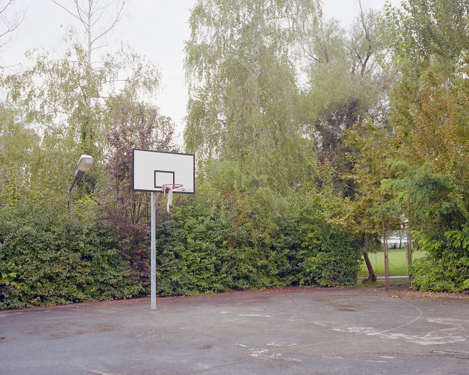  Balatonaliga, Hngary, 2013 