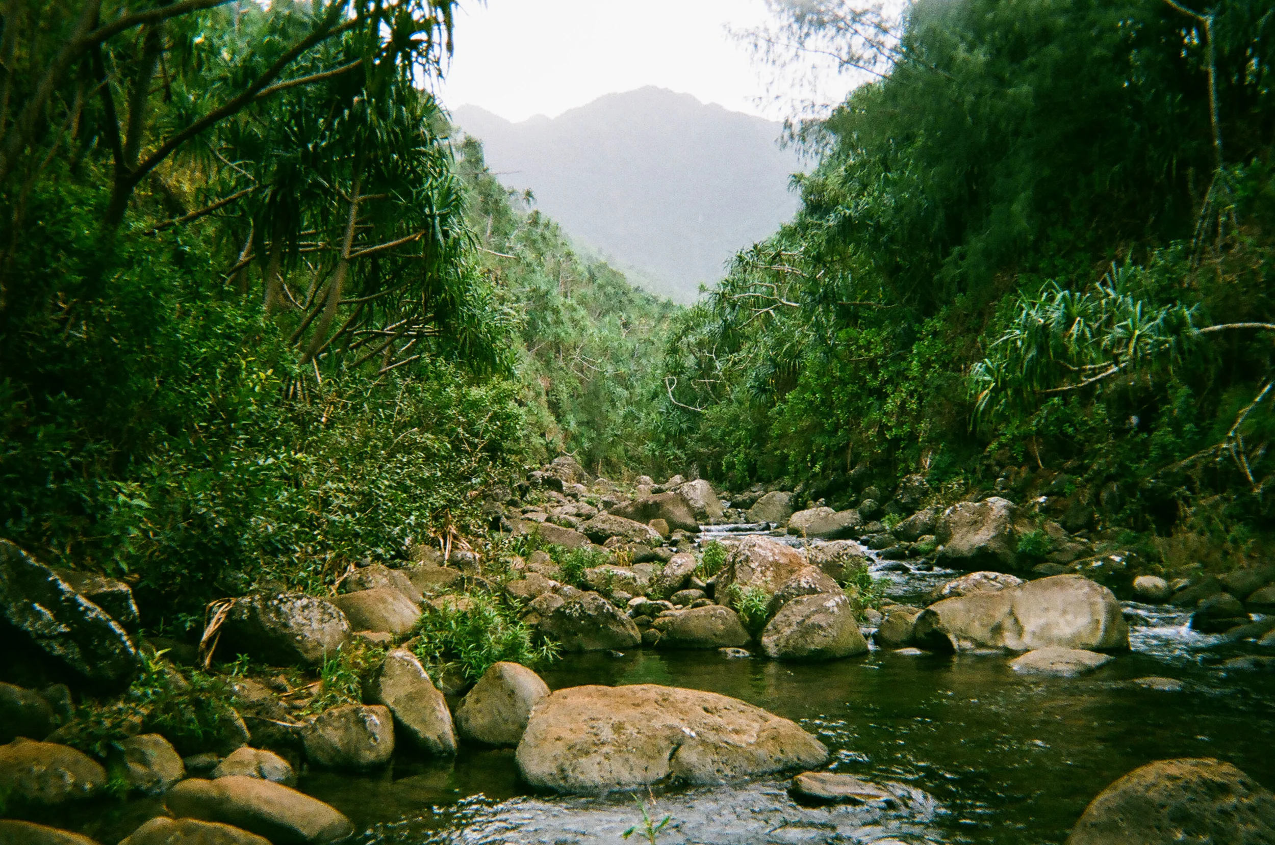 HAWAII-26.jpg