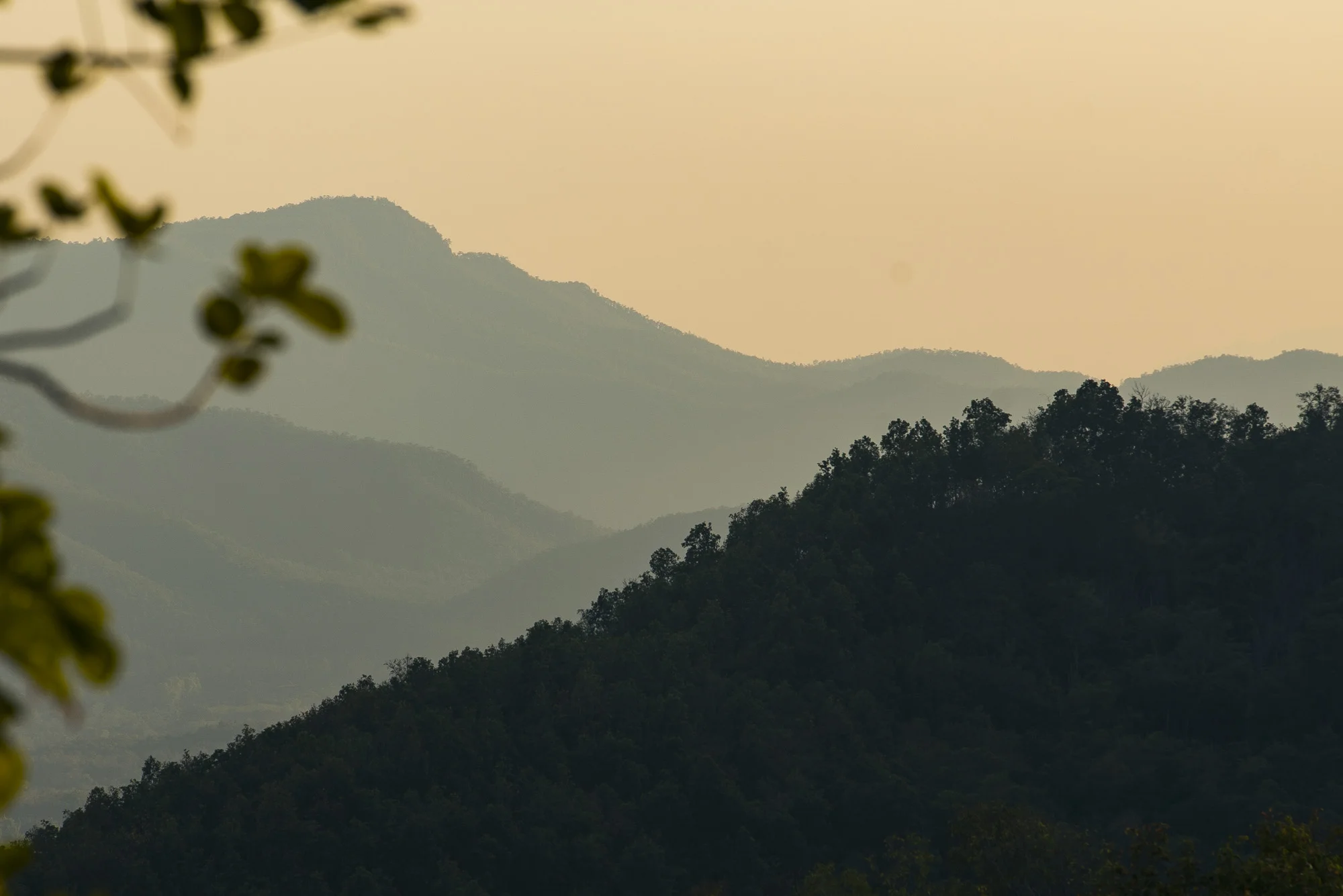 real asia website-05961.jpg