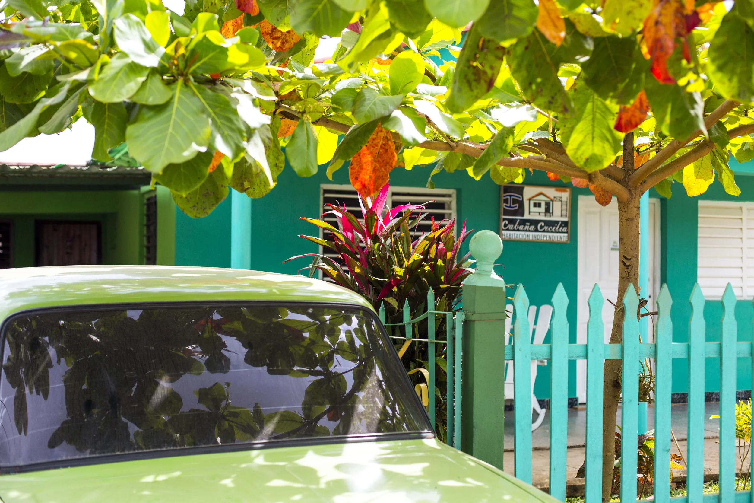 Cuba Web-5850.jpg