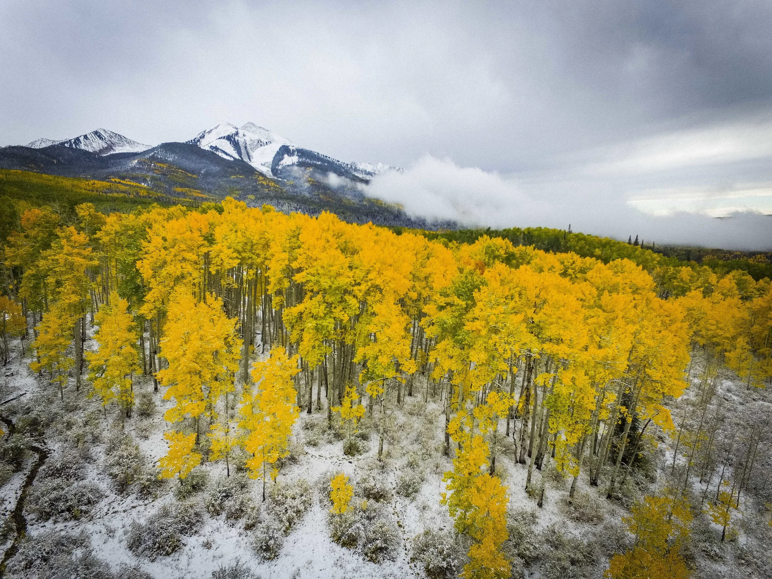 CO BEST WEB20160923-DJI_0188.jpg
