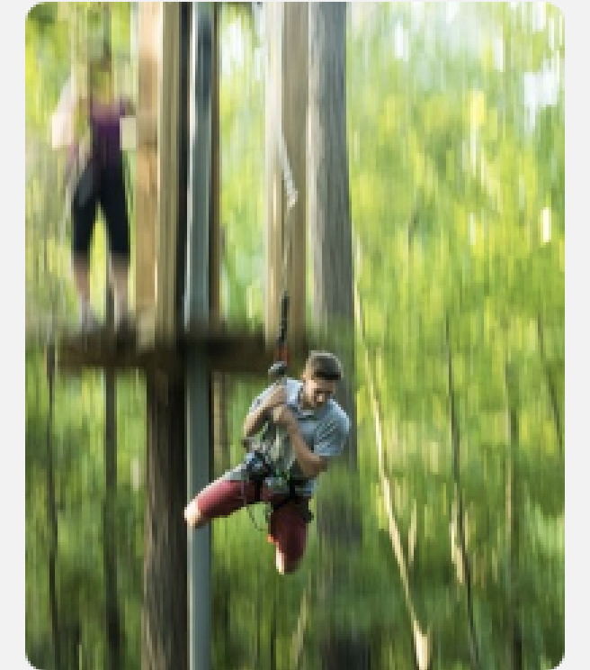 Screen Shot 2016-11-08 at 7.12.52 AM.png