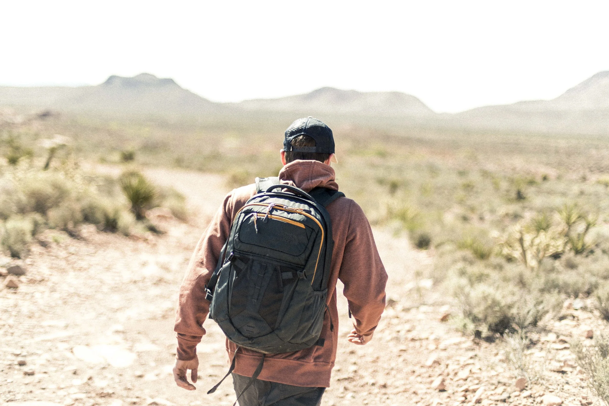 TNF VEGAS WEB-36.jpg