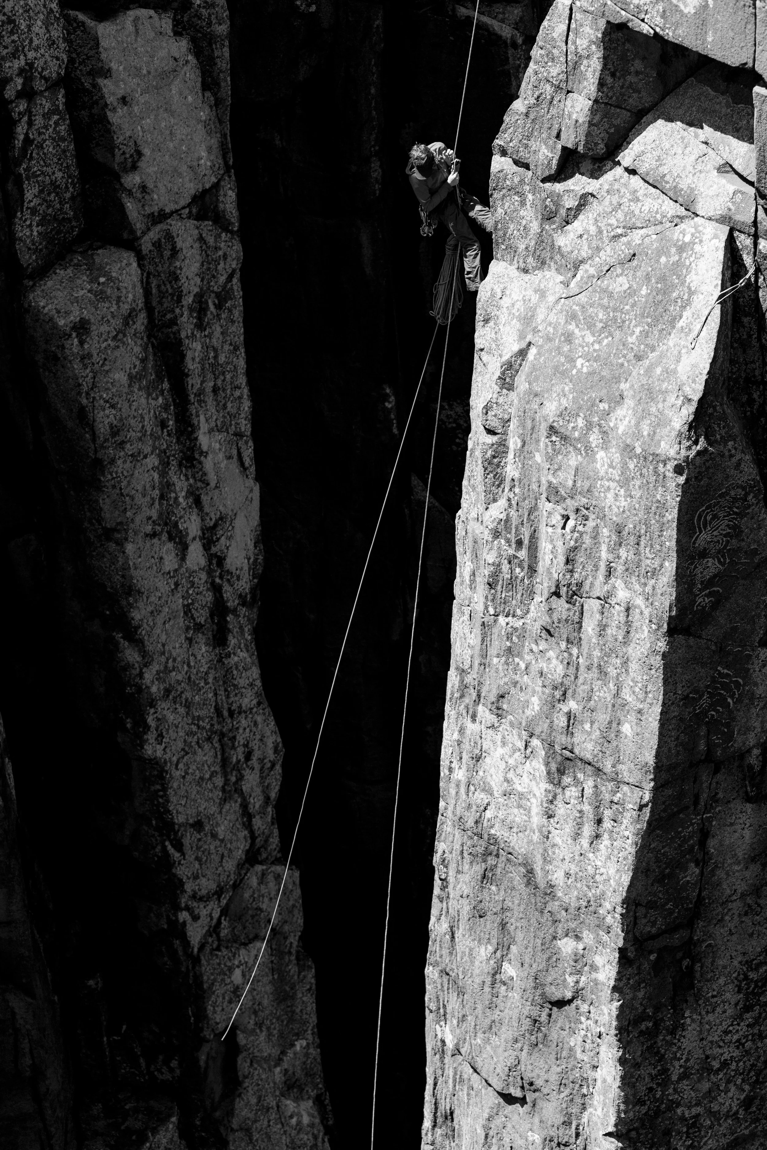 TAZZIE WEB-15.jpg