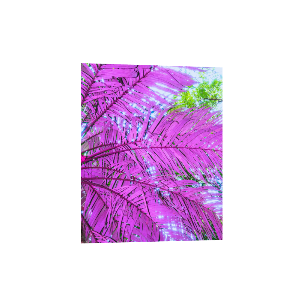 ptq_34_6_0_355_2849_3561_0_false_ffffff_0_0_.png