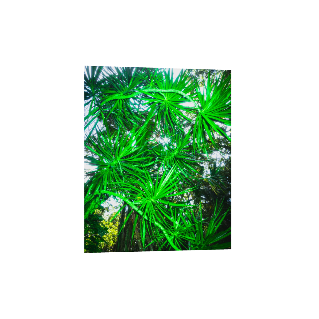 ptq_34_6_0_456_3648_4560_0_false_ffffff_0_0_.png