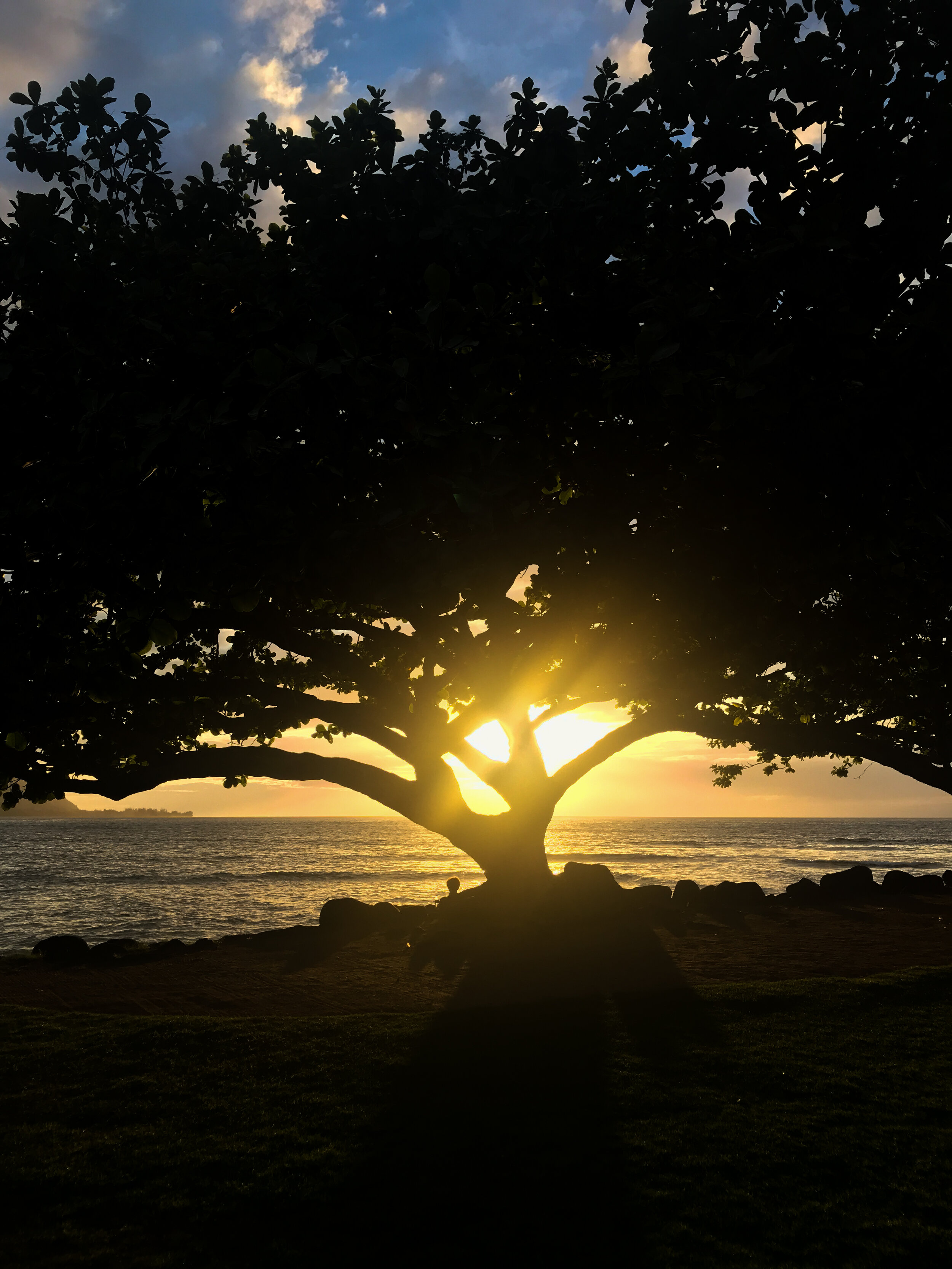 Hawaii 2019 BC + IP (2014)-15.jpg