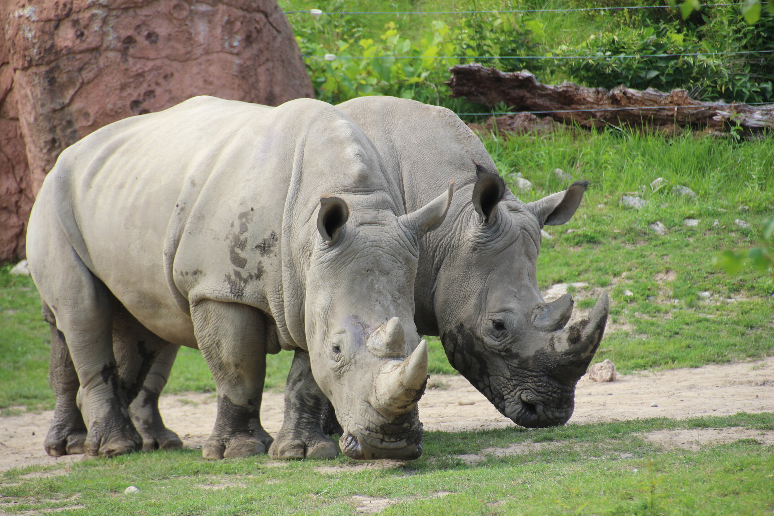 Toronto Zoo (14).JPG