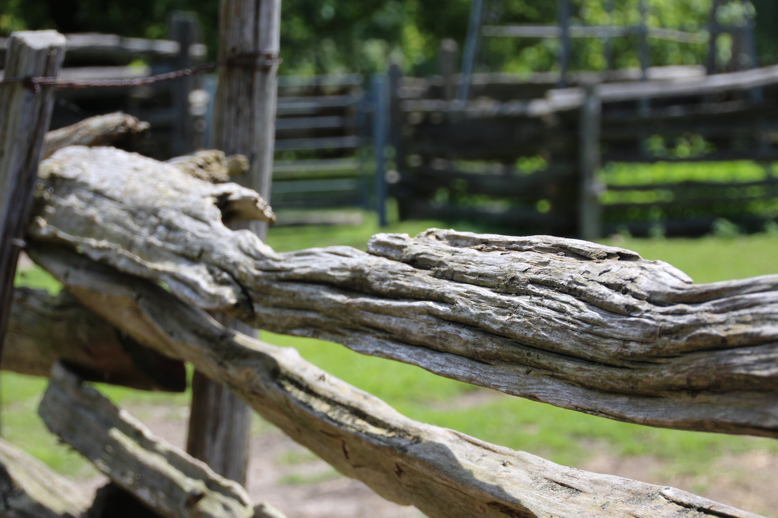 Toronto 2013 (160).JPG