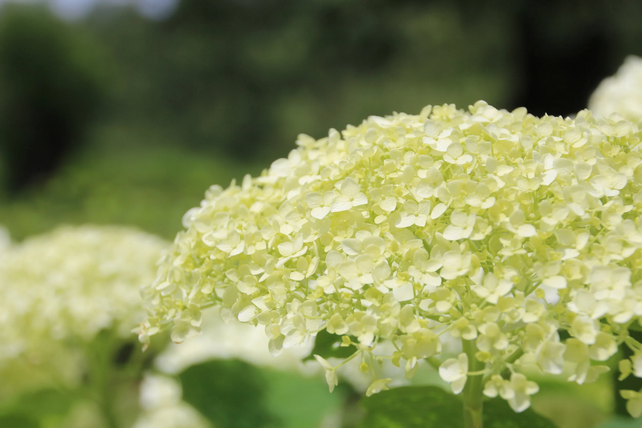 Toronto 2013 (221).JPG