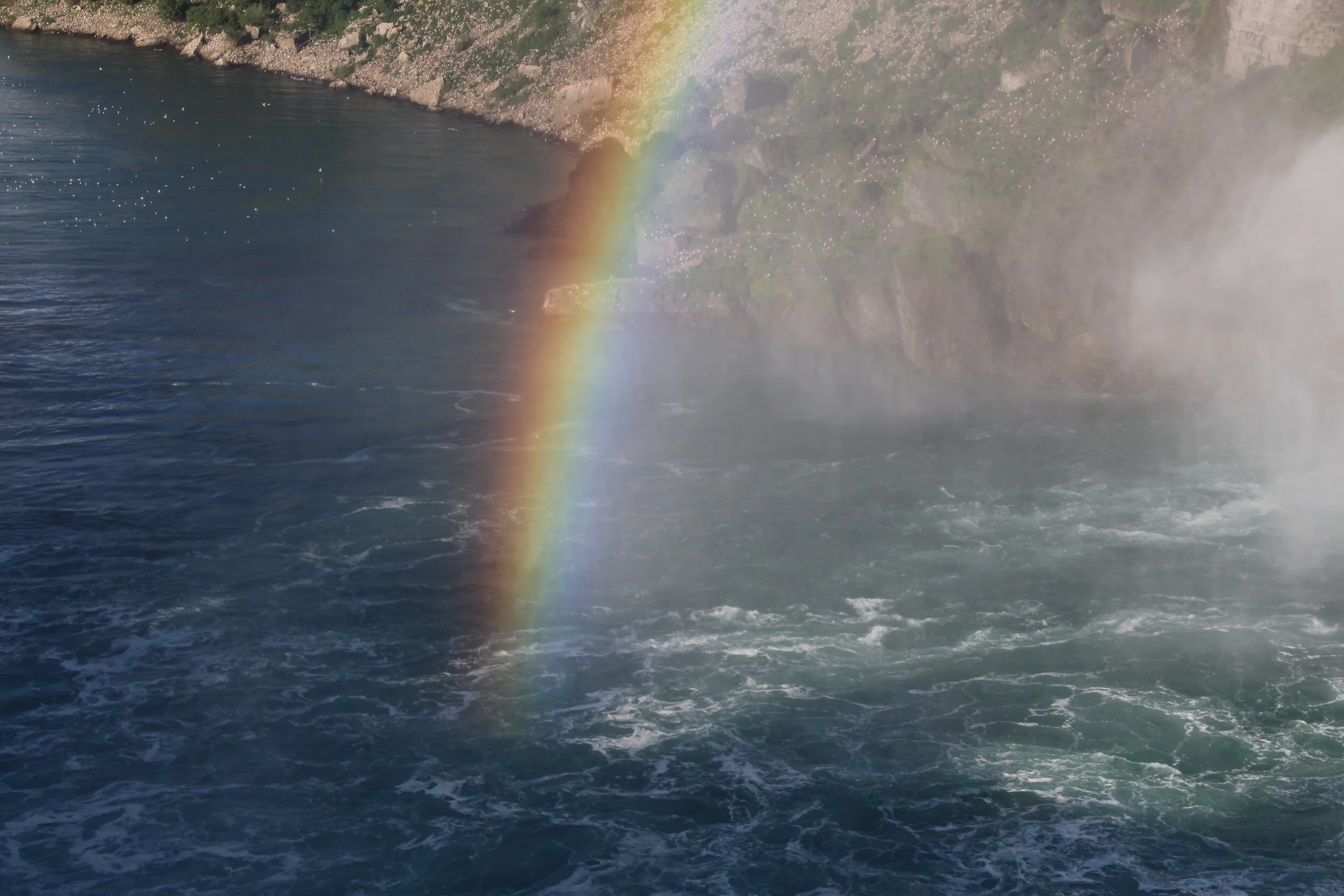 Dan Camera Toronto 2018 (754).JPG