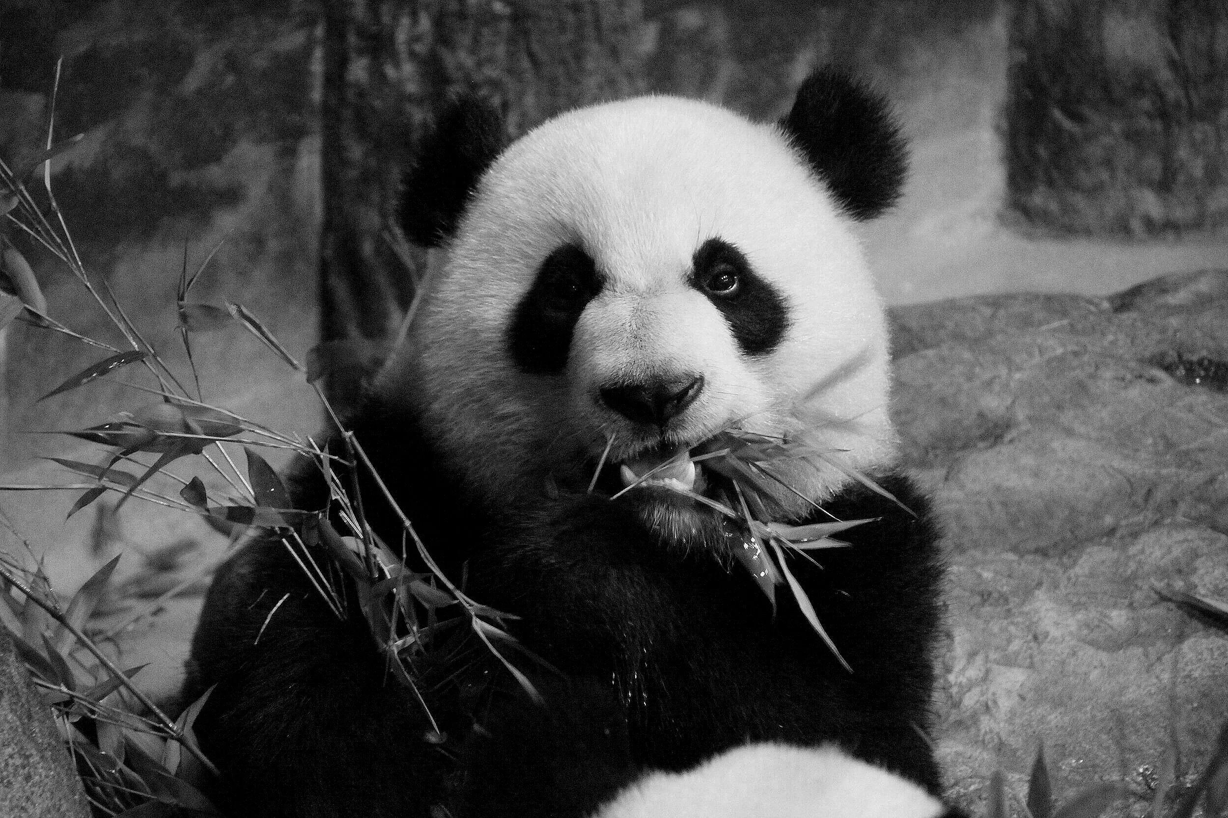 Toronto Zoo (15).JPG