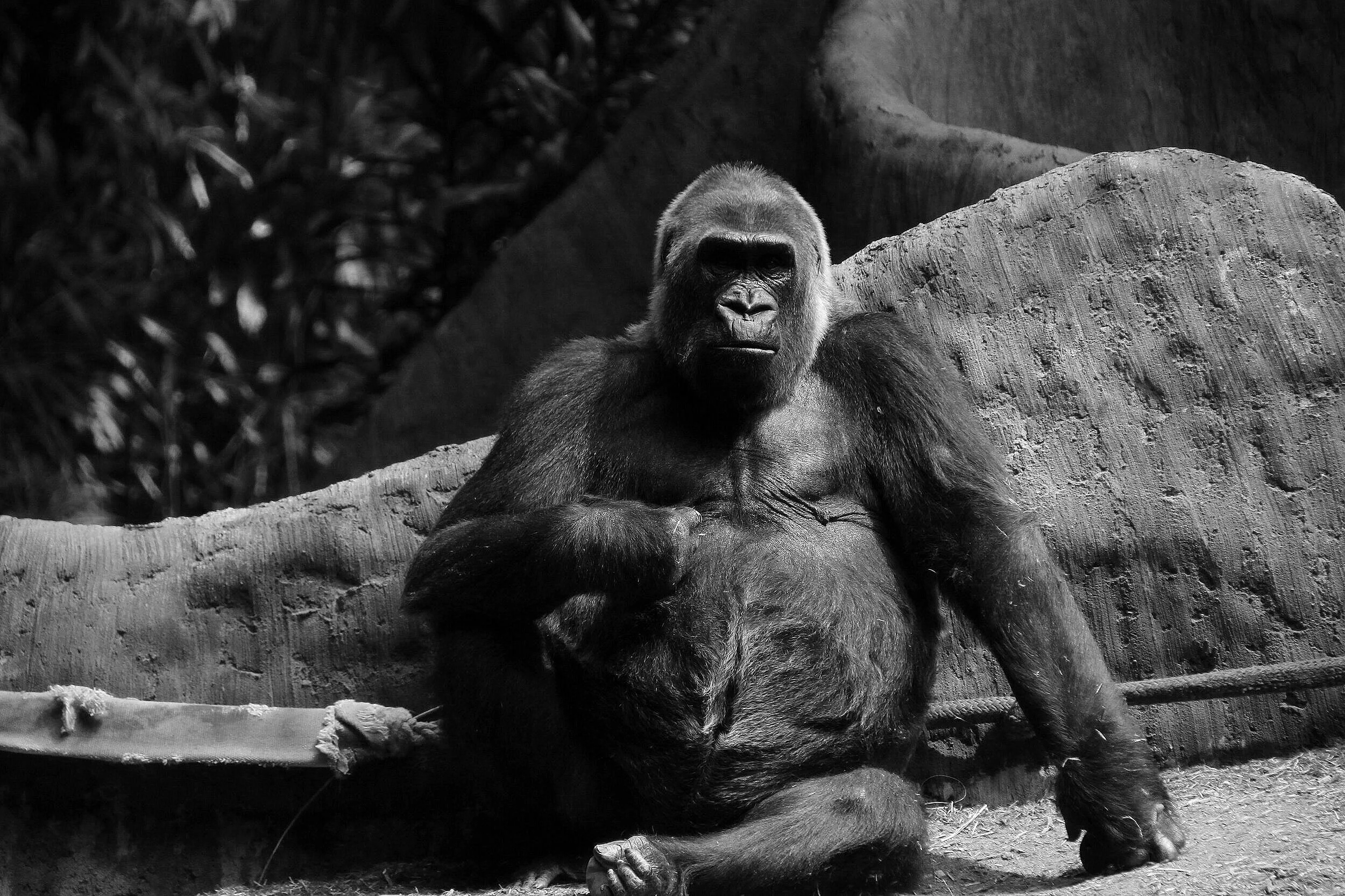 Toronto Zoo (17).JPG