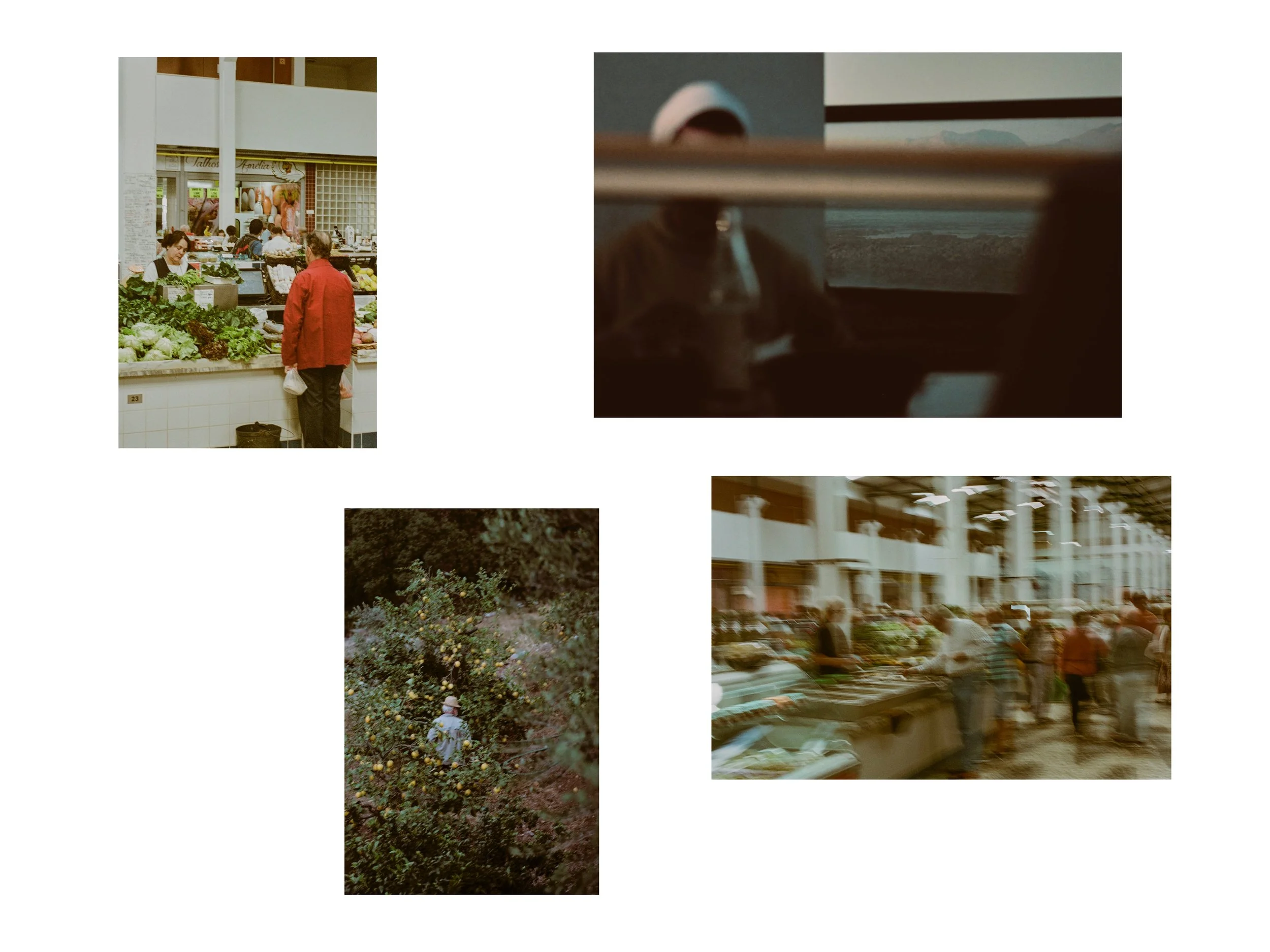 Portfolio November 20258.jpg