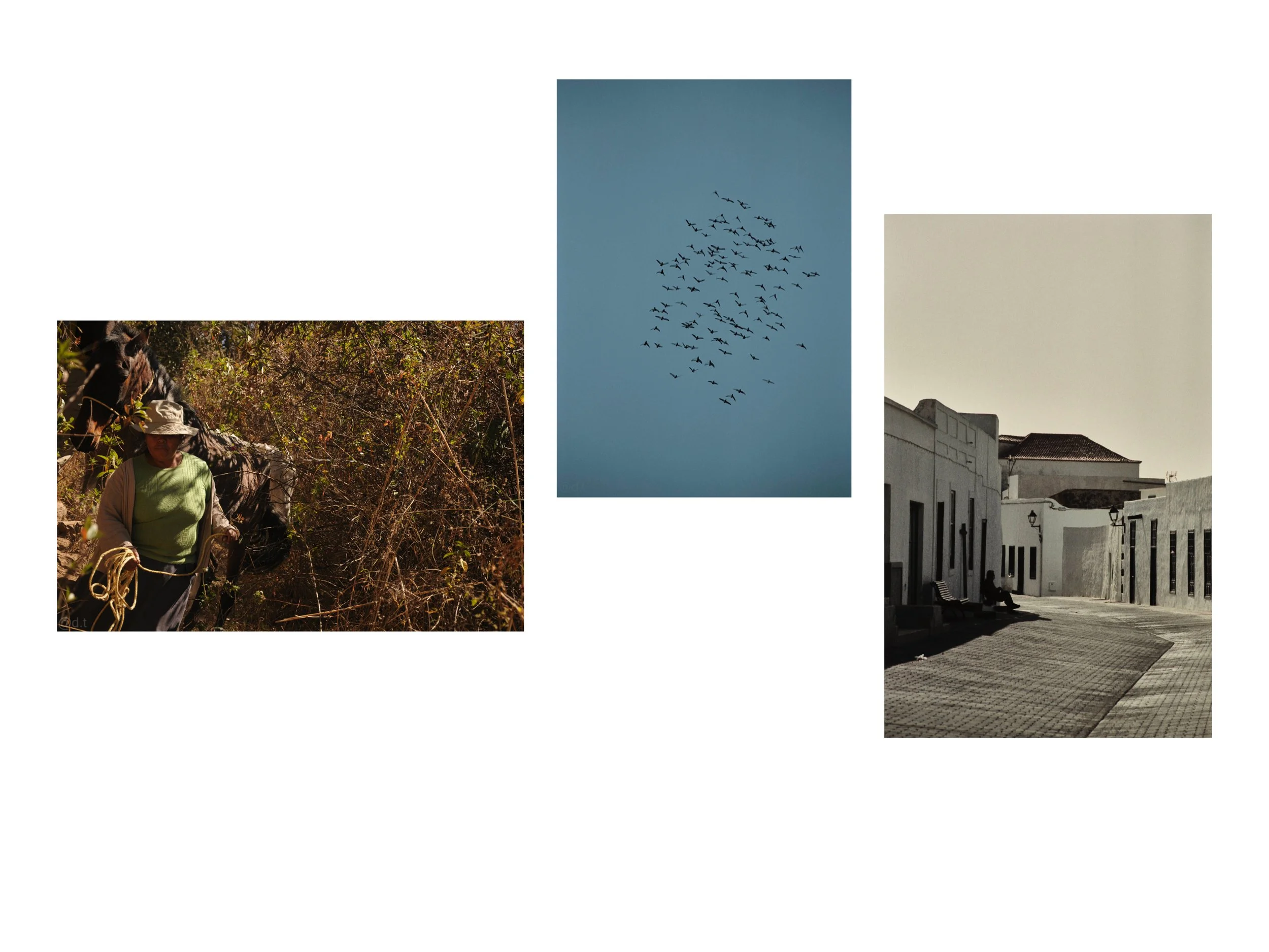 Portfolio November 202522.jpg