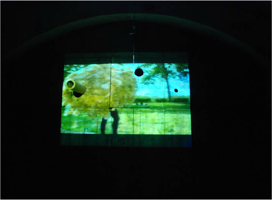 Video and Sound installation collaboration with artist Mariana Lopez. We actually made a giant costume out of sheep wool and chicken wire and then filmed ourselves chasing a field full of sheep around blindly running because there were no eye holes built into our custom. We later projected the image onto the wall as part of a larger series of images and live performance.