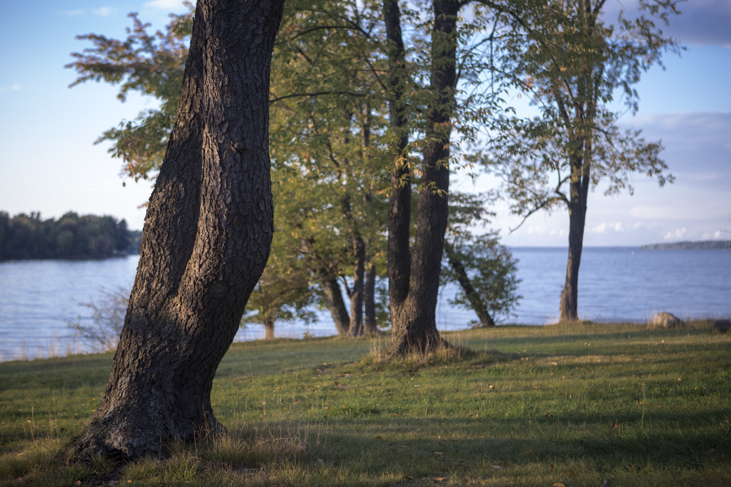 Lake Eerie