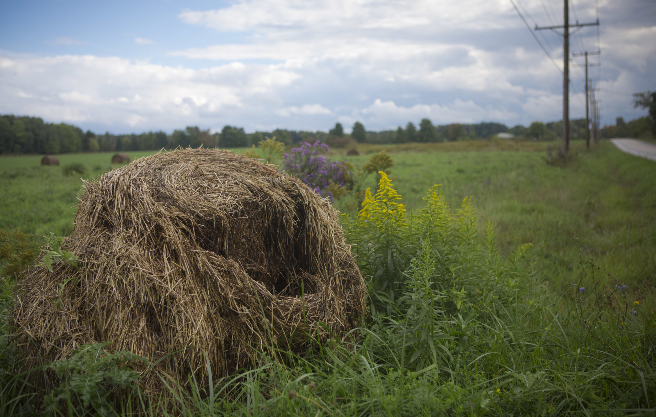 2016.10.02 - Ashtabula County_ Ohio_14.jpg