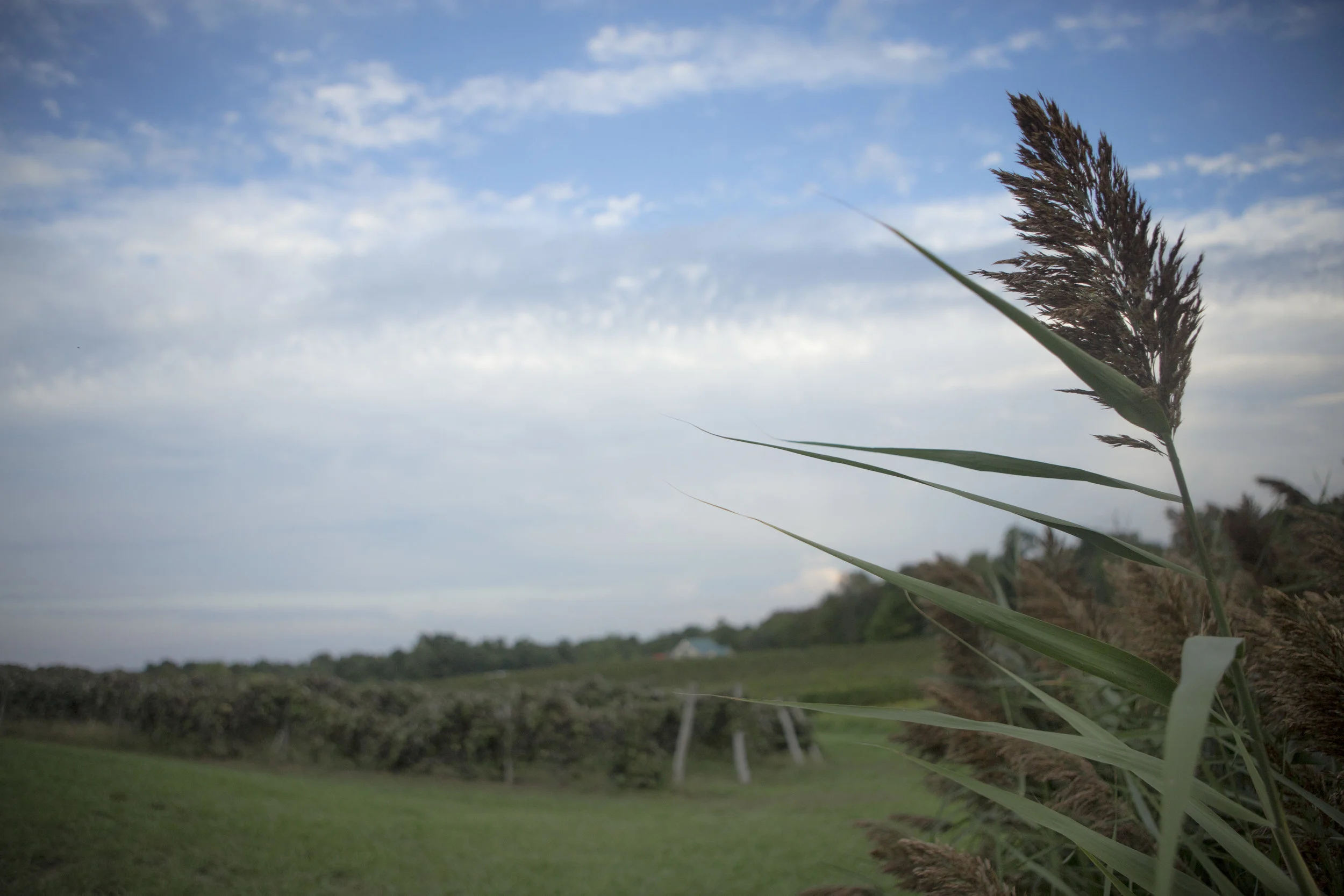 2016.10.02 - Ashtabula County_ Ohio_08.jpg
