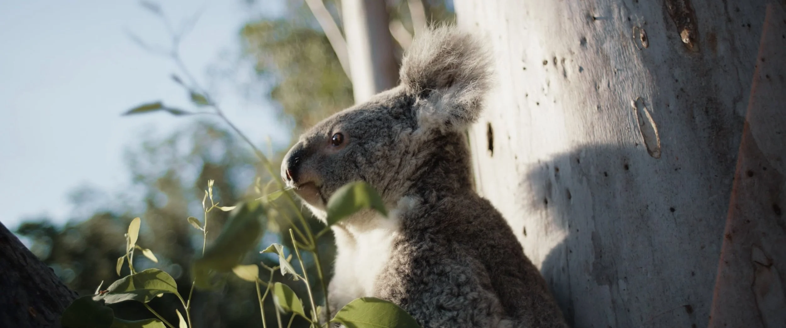 Screenshot 2025-11-06 at 8.56.17 AM.jpeg