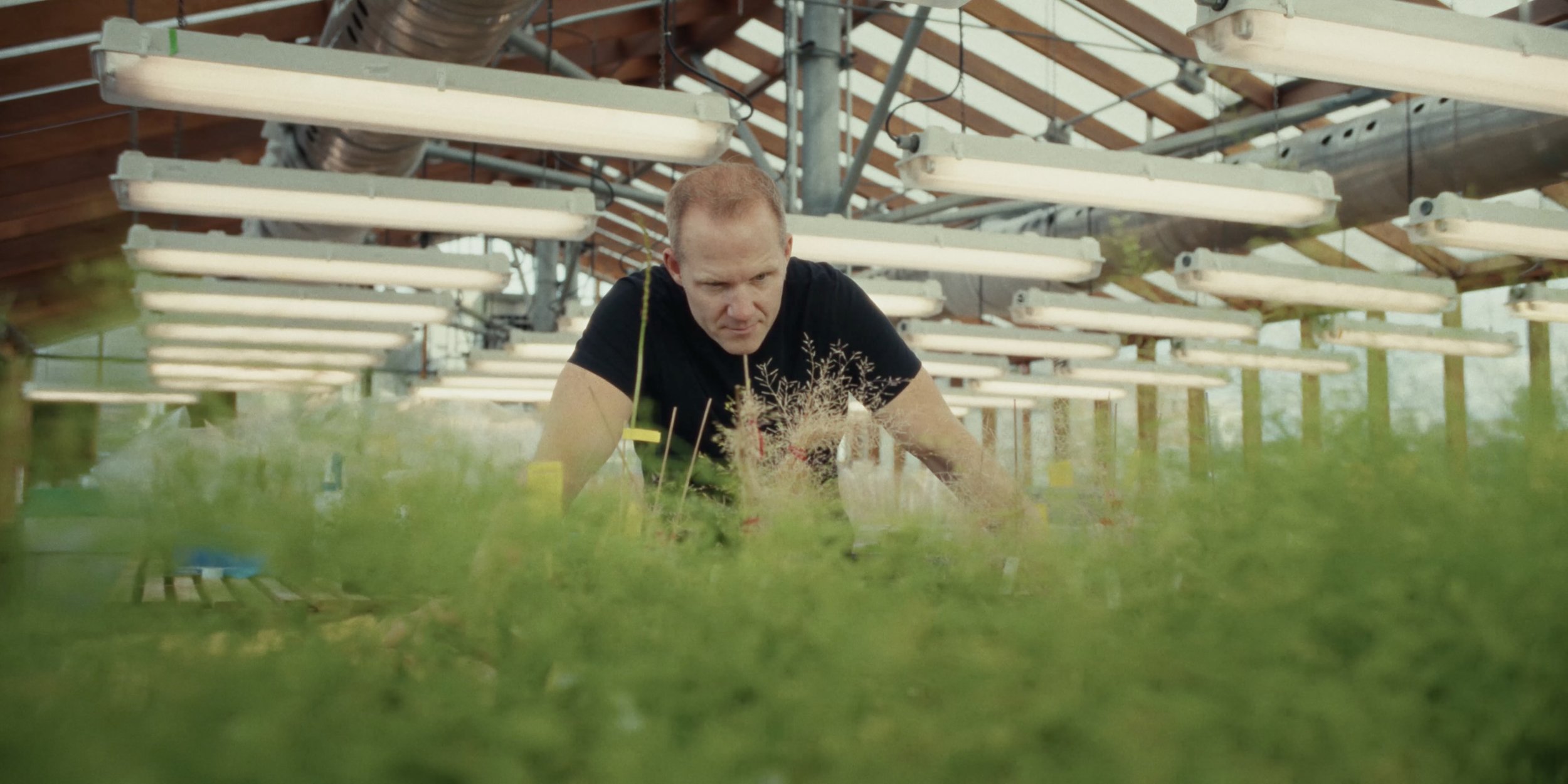 Plant Life - Film Still 012.jpeg