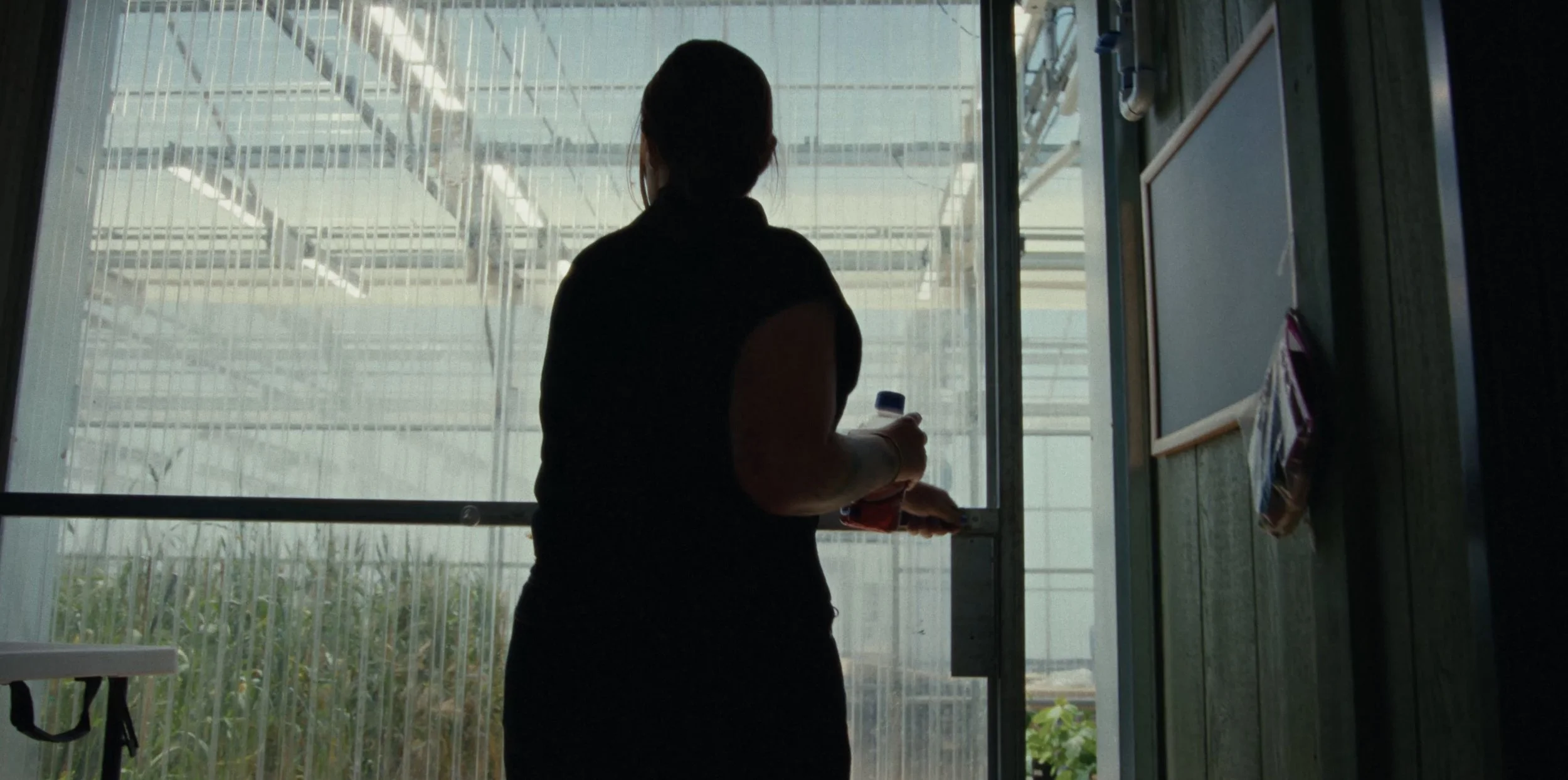 Plant Life - Film Still 016.jpeg