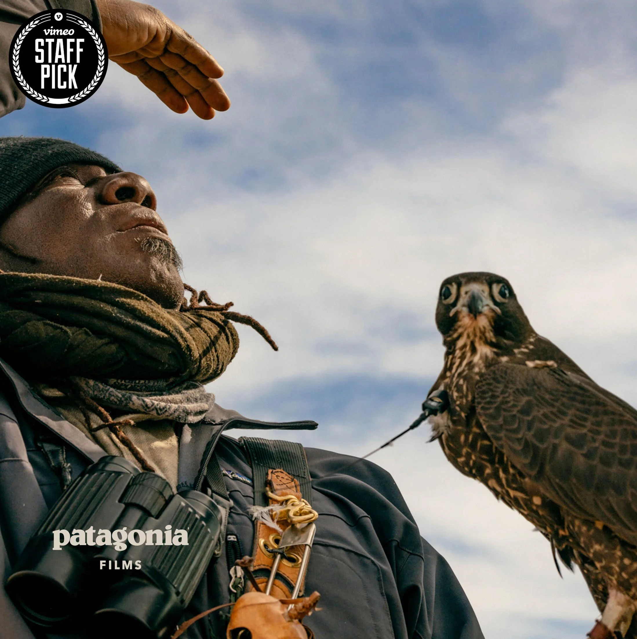 Game Hawker - Thumbnail Square (no title) - Vimeo.jpg