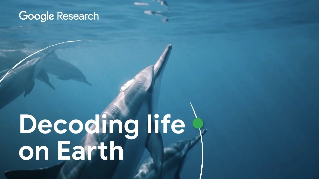 Decoding life on Earth — Google Research