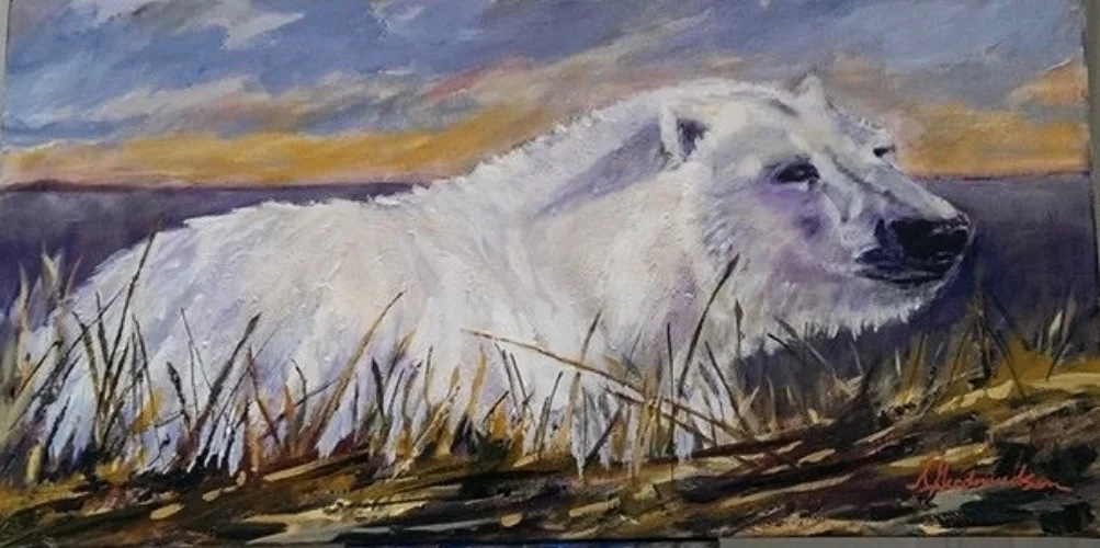 Newfie Polar Bear