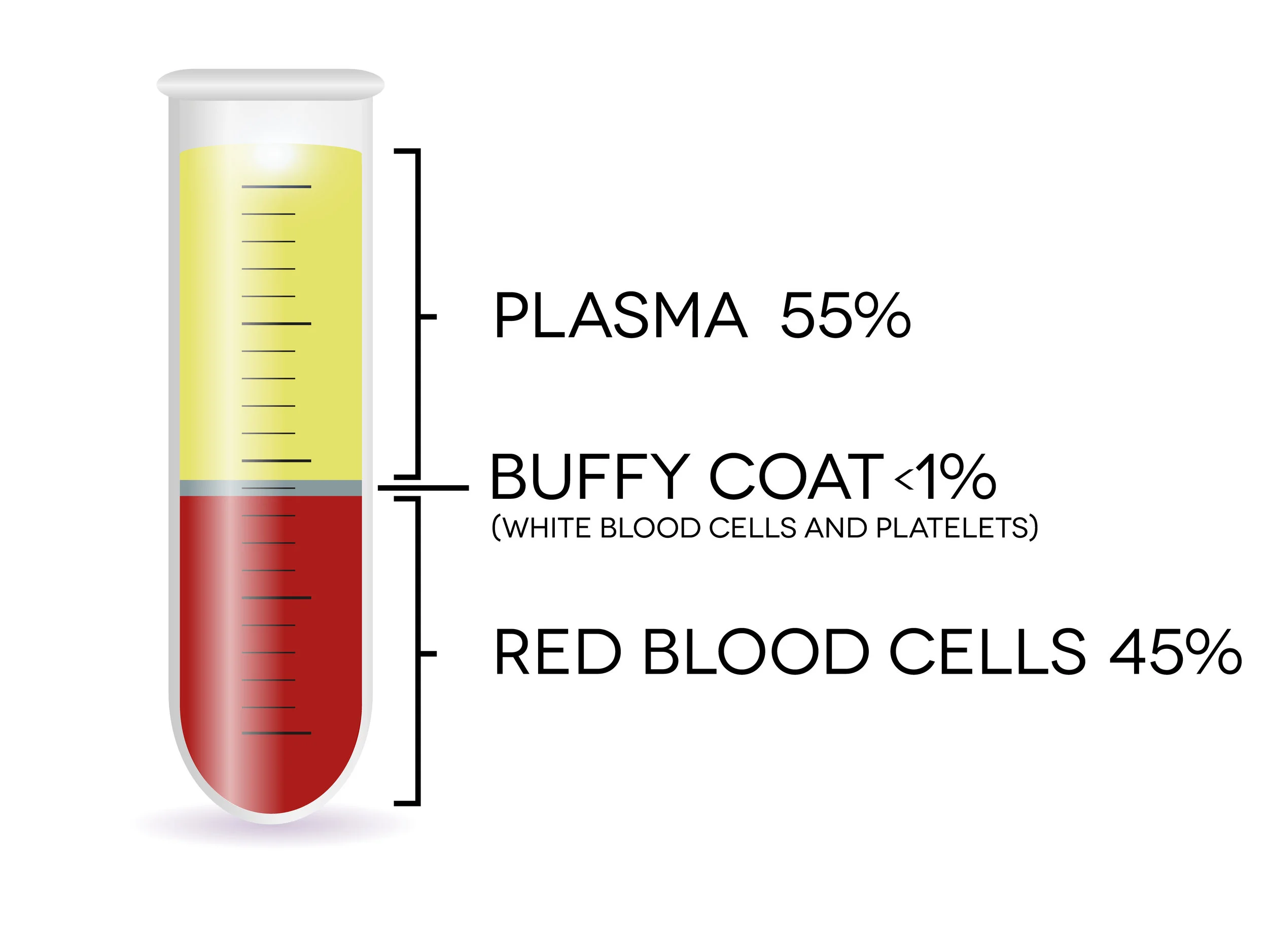 Blood-Components.jpg
