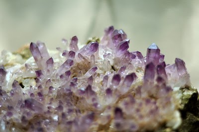 DSC_0392.JPG