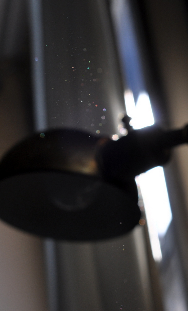 DSC_0089.JPG