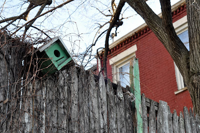 DSC_0038.JPG