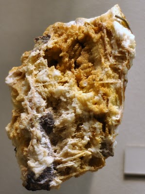 DSC_0345.JPG