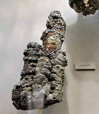DSC_0353.JPG