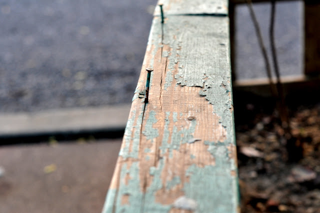 DSC_0031.JPG