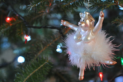 DSC_0045.JPG