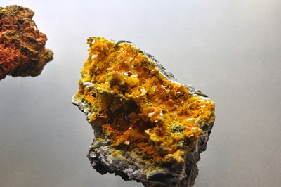 DSC_0360.JPG