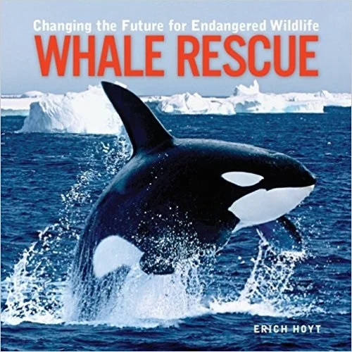 61JCEHADV7L._SY498_BO1,204,203,200_.jpg